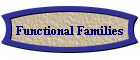 Functional Families
